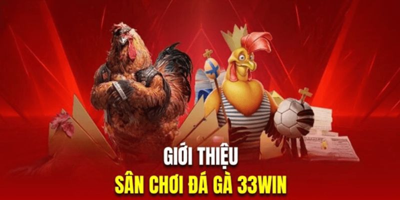 Tổng quan đá gà 33win